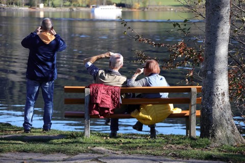 Enjoying the peace and quiet on a park bench or a sunny snapshot on the shores of Lake Titisee