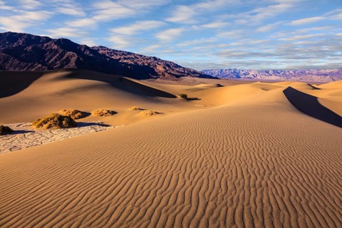 Mesquite Flat Sand Dunes in Death Valley. Small bushes grow in the valleys between the barkhans.