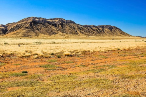 Landscape of the Namib desert during the dry season, Namib Naukluft Park, Namibia, Africa