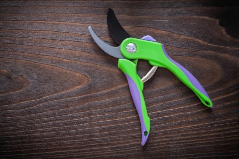 Sharp pruning shears on vintage wooden board gardening concept