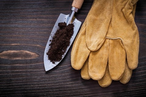 Hand spade with soil and leather safety gloves on vintage wooden background gardening concept