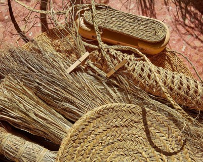 Esparto halfah grass used for crafts as cords basketry and espadrilles