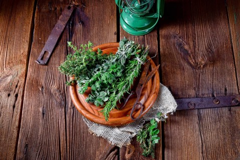 Herbal collection of: thyme, oregano, rosemary