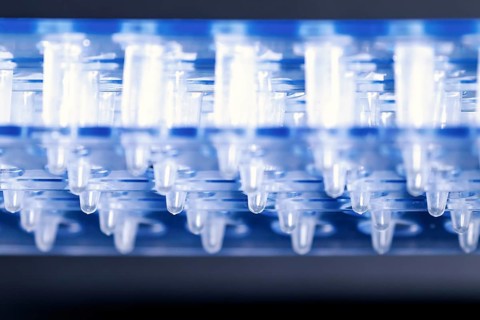 Science Plastic Test Centrifuge Tubes