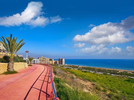 Arenals del Sol Beach in Elche Elx of Alicante in Costa Blanca at Spain aerial view
