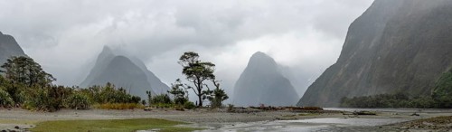 Magnificent panoramic view of Milford Sound during rainy weather, South Island of New Zealand