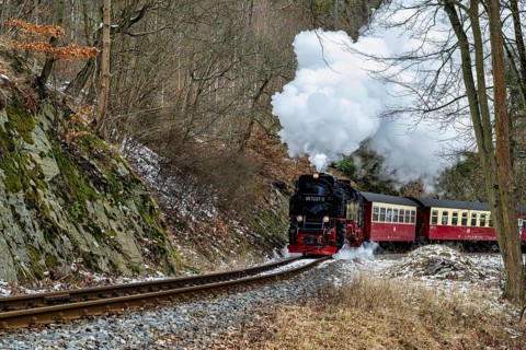 Old steam locomotive in the Harz Mountains in Germany driving through the forest