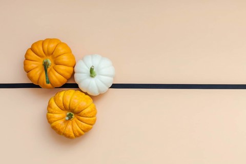 Creative Top view flat lay autumn composition. Frame concept pumpkins color paper background copy