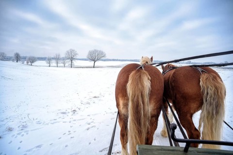 Sledging in the snow in Masuria in Poland