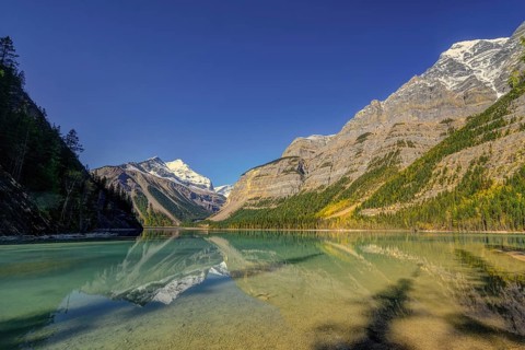 Beautiful autumn landscape scene in mountain in background in Jasper National Park west Canada with
