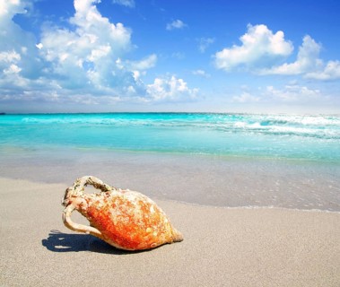 Amphora from roman culture on mediterranean turquoise beach in Spain