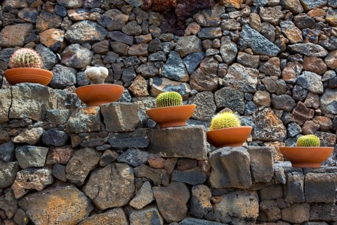 Lanzarote Guatiza cactus garden pots in a row at Canary Islands