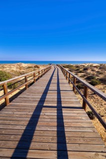 El Carabassi beach dunes in Elx Elche of Alicante in Spain at Costa Blanca also Carabasi