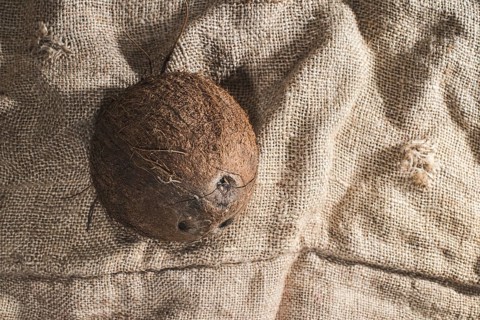 Coconut on burlap. Close up