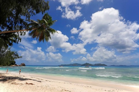 Palm tree on Anse Severe beach, La Digue island, Praslin island behind, Seychelles, Indian Ocean,