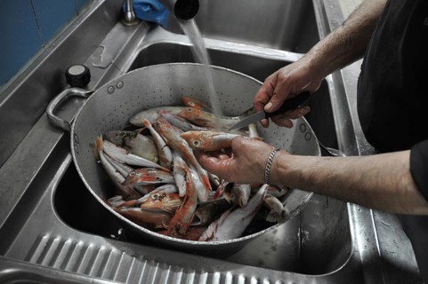Fish being cleaned and washed in a colander under running water in a kitchen, Cooks and chefs