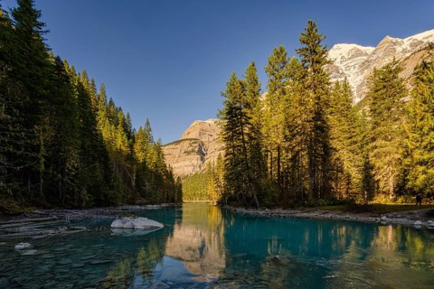 Beautiful autumn landscape scene in mountain in background in Jasper National Park west Canada with