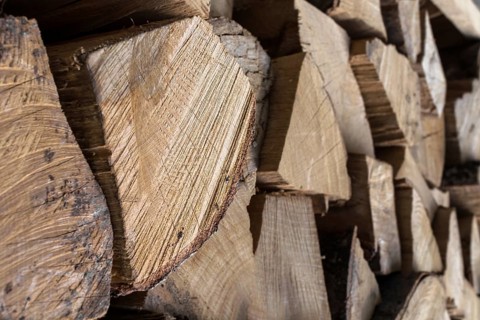 Background of an firewood dry and rough, cut in small pieces