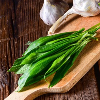 Fresh and tasty wild garlic