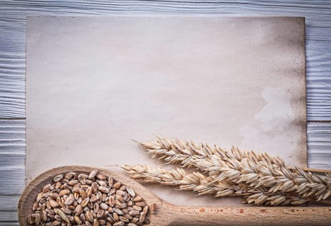 Wheat rye ears corn wooden spoon vintage paper on wood board food and drink concept