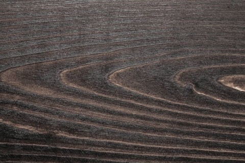 Vintage dark wood surface close up