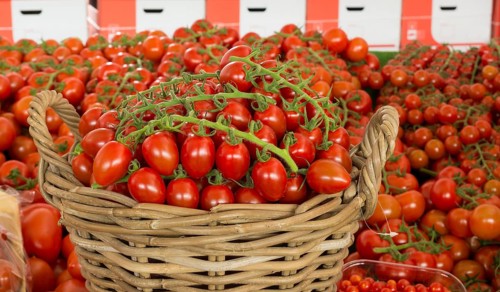 Reed basket with red tomatoes amid countless sizes of red tomatoes