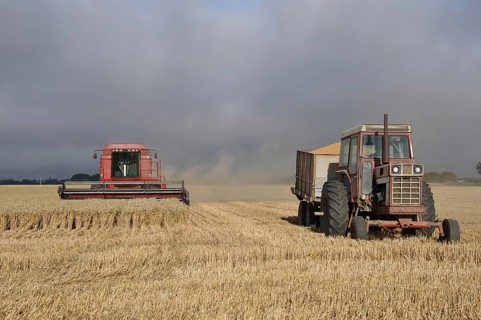 TIMARU, NEW ZEALAND, CIRCA FEBRUARY 2010: Farmers harvest a crop of wheat, South Canterbury, New