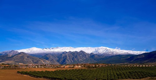 Sierra Nevada mountains in Granada with snow on tip and olive tree fields of Andalusia