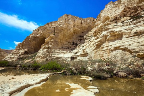 The walls of the gorge are corroded by caves. Start route. Israel. The ravine is formed by the