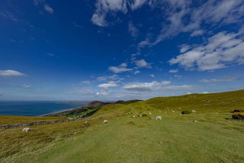 Hilly landscape with green meadows, sheep and stone wall, dry stone wall on the edge of Snowdonia