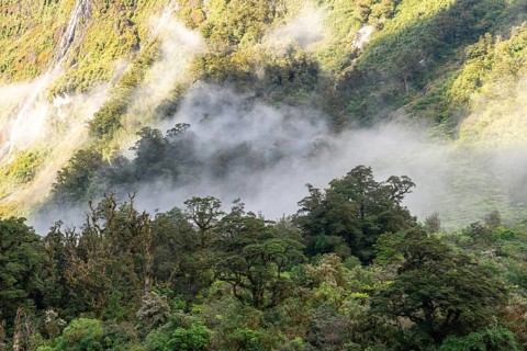 A new morning dawning at Doutful Sound, clouds hanging low in the mountains, South Island of New