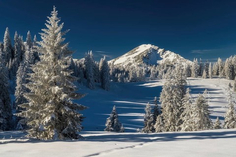 Winter landscape picture from tannheimer valley mountain pirschling and schönkahler with fresh snow