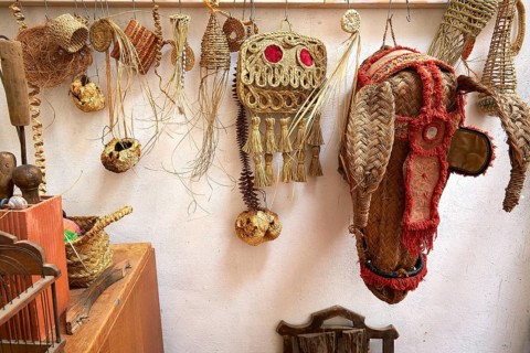 Esparto halfah grass used for crafts as cords basketry and espadrilles