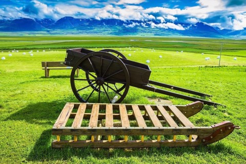 Old wooden sledge and two-wheeled cart on the lawn. The reconstituted village - Museum Vikings in