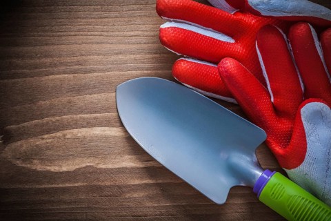 Safety gloves and metal trowel on wooden background