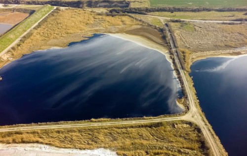 Offstein sewage ponds, ponds of a sugar factory in Rhineland-Palatinate, bird sanctuary, Offstein