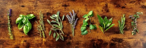 Fresh aromatic herbs, overhead flat lay panorama on a rustic wooden background. Bunches of