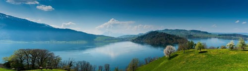 beautiful panorama landscape with green fields and blossoming flowers and trees and mountains in