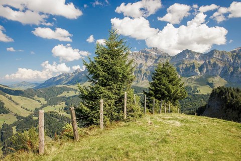 Meadow with trees, mountains in the background and clouds in the sky, Spicher with view to the