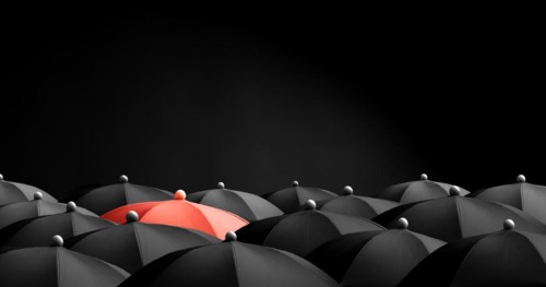 Concept image with lots of black umbrellas and a red umbrella that stands out, be unique