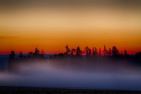 Evening sunset in the Harz Mountains