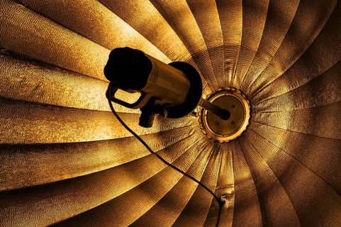Photo lamp with shade