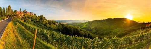 Landscape panorama of vineyard on an Austrian countryside with a church in the background in