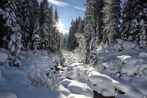 Winter