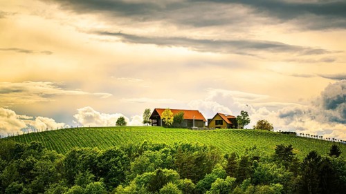 Austria vineyards in spring landscape. Leibnitz area in south Styria, wine country. Tuscany like