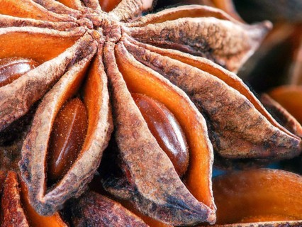 Star anise extreme close up for background