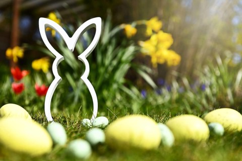 Easter bunny figure with Easter eggs in front of spring flowers