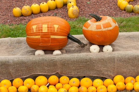 Pumpkins artistically decorated as a small train with orange and beige painting, borken,