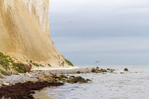 Pictures of the chalk cliffs on the island of Rügen