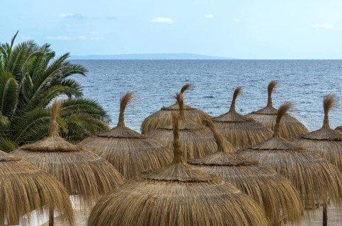 Sunshades by the sea